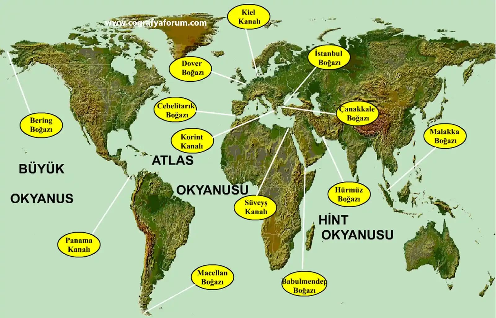 Dünyadaki Erotik Kanalların Dijital Çağda Erişim ve Teknolojiyle Gelişimi