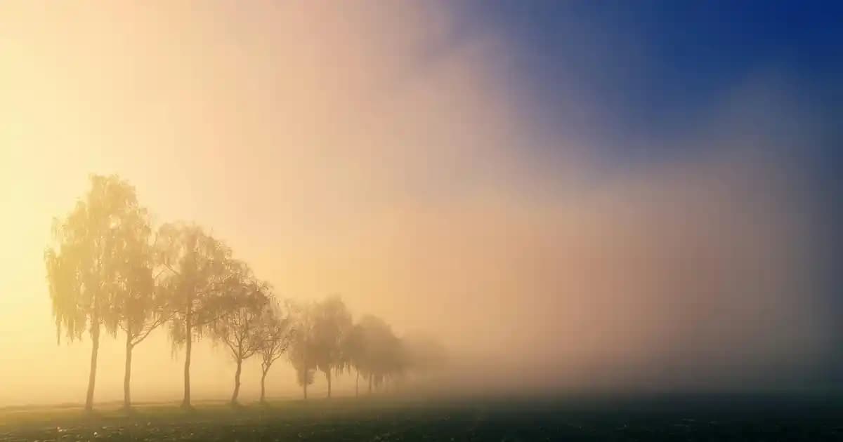 Düşme Direnci Sınıfı A: Akıllı Cihazlarda Yüksek Dayanıklılık ve Koruma Standardı