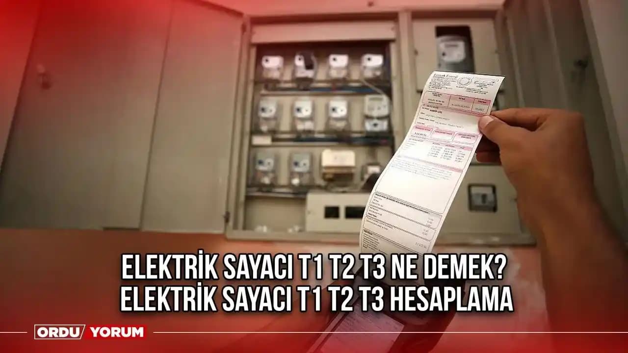 Elektrik T1, T2, T3 Koruma Tipleri ve Akıllı Cihazlarda Önemi