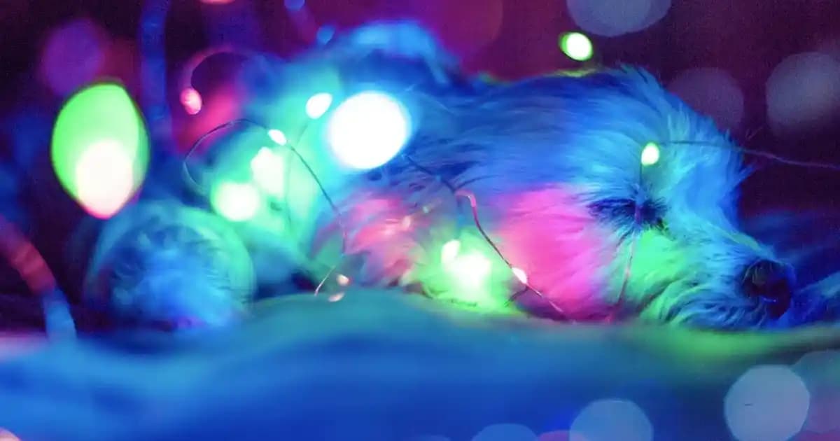 Elektronik Sigara: Tarihçesi, Teknolojik Gelişimi ve Günümüzdeki Durumu