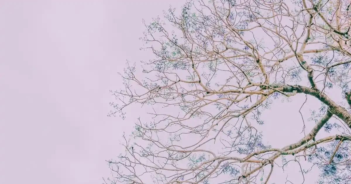 Elektronik Ürün İade Hakkı ve Yasal Süreçler Hakkında Bilmeniz Gerekenler