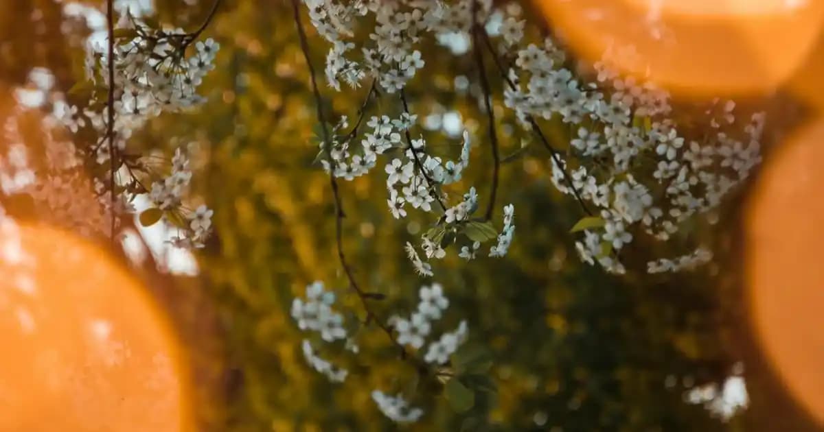 En İyi Epilasyon Makinesi Seçimi: Cilt Tipine Uygun Teknolojik Çözümler