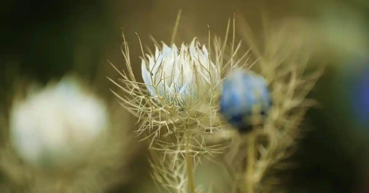 Fiyat Performans Telefonlar: Uygun Fiyatlı Akıllı Telefon Seçim Rehberi 2024