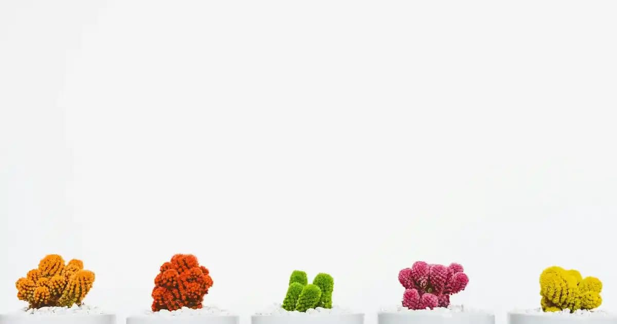 Fiyat Performans Telefonları: Bütçe Dostu ve Kaliteli Akıllı Telefon Seçim Rehberi