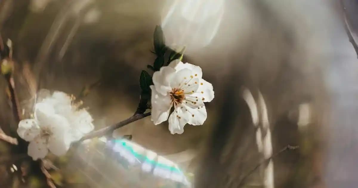 Gmail İşareti Kopyalama Yöntemleri ve Dijital İletişimde Kullanımı