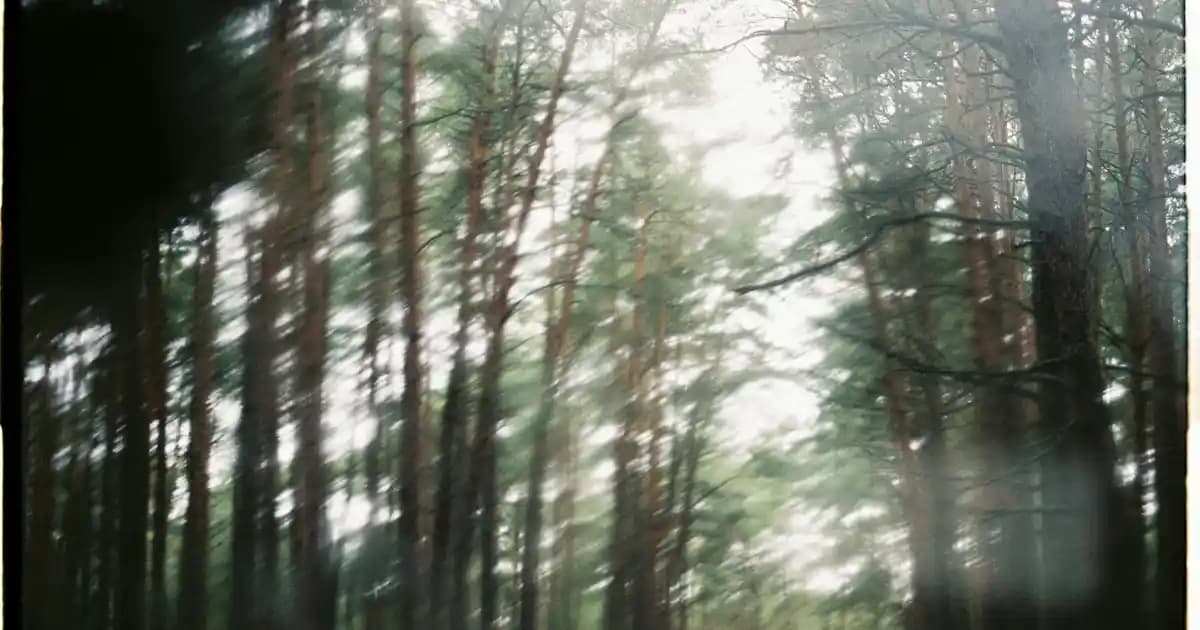 Gürcistan Elektronik Mağazalarında Akıllı Teknoloji Ürünleri ve Alışveriş Rehberi