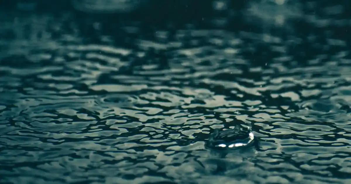 Harvox X1 Pro Akıllı Saat: 1.4 inç AMOLED ekran ve 7 gün pil ömrü ile üstün performans