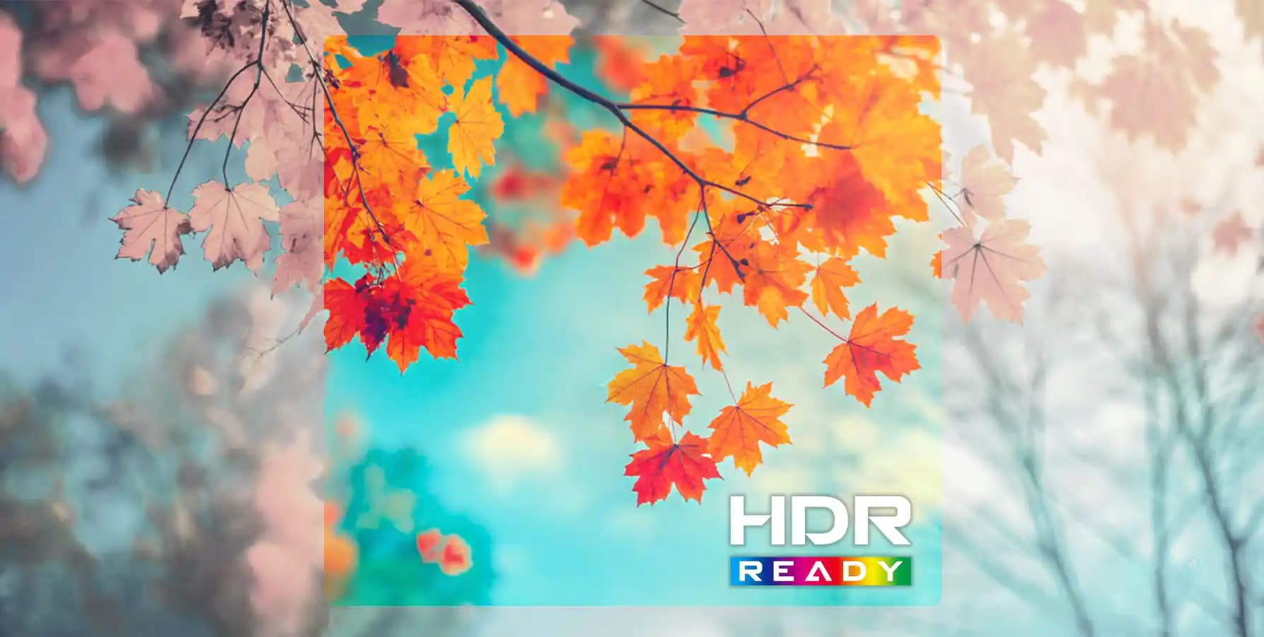HDR Ready Nedir? Akıllı Cihazlarda Görüntü Kalitesini Artıran Teknoloji