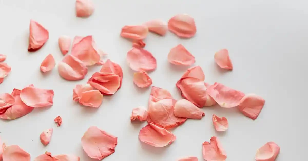 HP Omen 15 ve 17 İnç Modelleri: Yüksek Performans ve Taşınabilirlik Dengesi