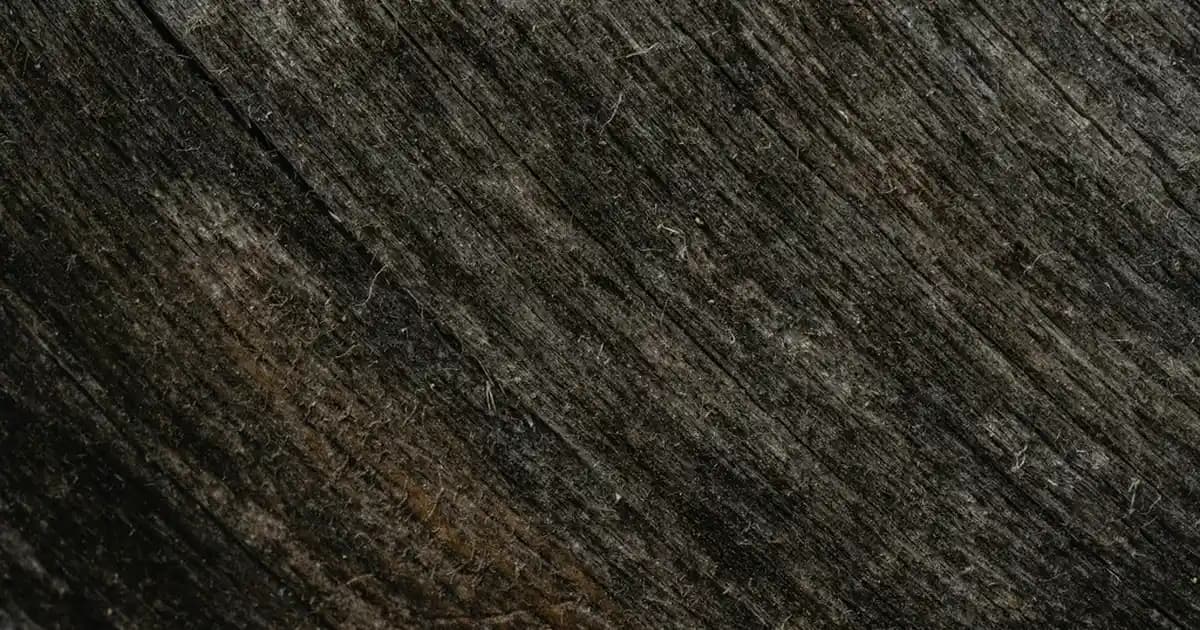 Insta Pro Canlı TV İzle: Mobil Cihazlarda Güvenli ve Kesintisiz Canlı Yayın Deneyimi