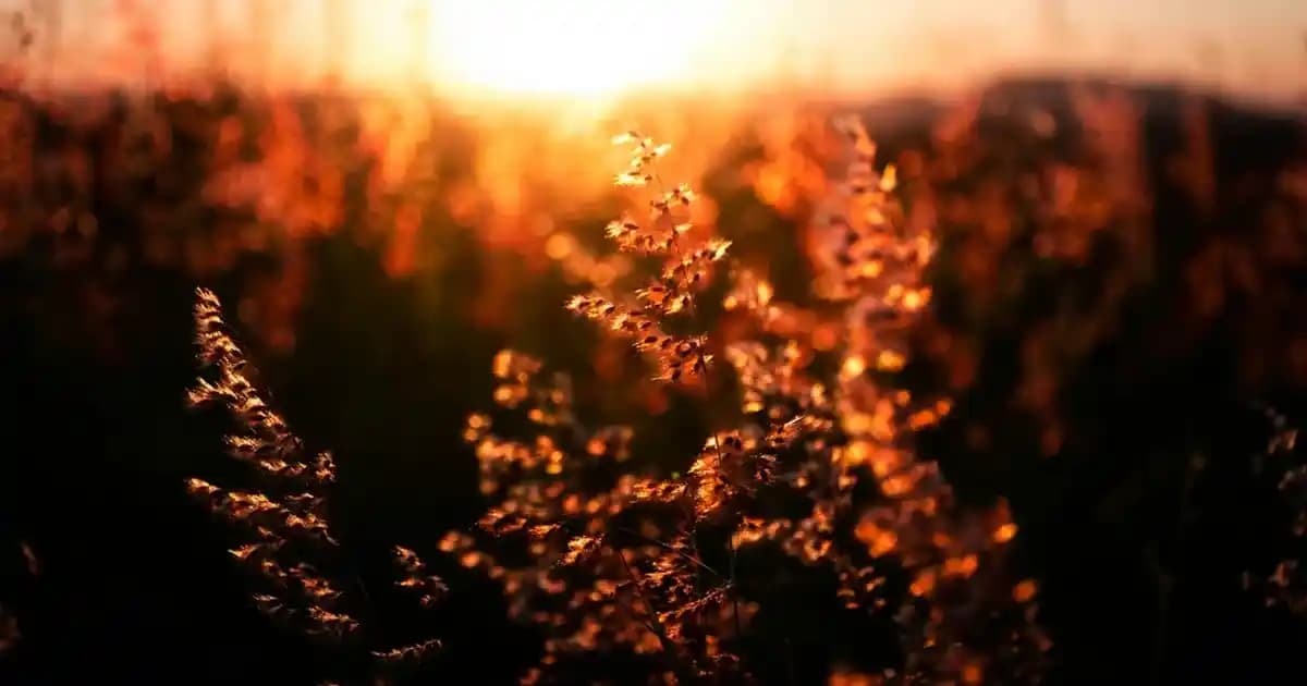 Instagram'da Siyah Ekran Sorunu: Nedenleri, Çözümleri ve Önlemler Hakkında Detaylı Rehber