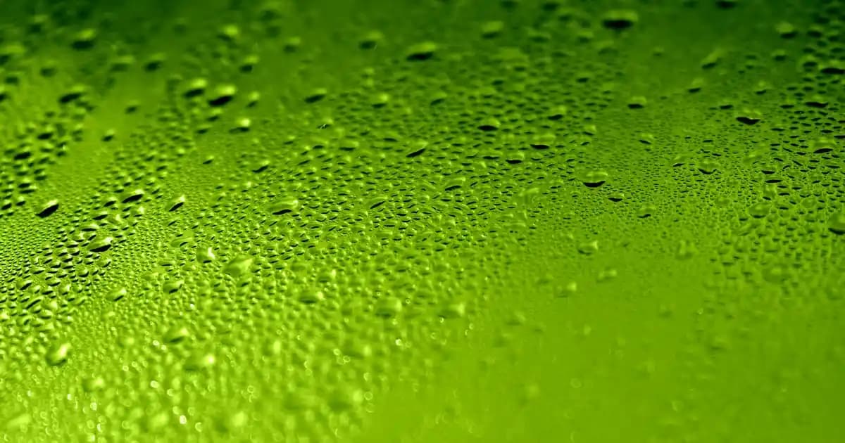 Instagram Ekran Paylaşımı: Akıllı Cihazlarda Canlı İletişim ve Paylaşım Yöntemi