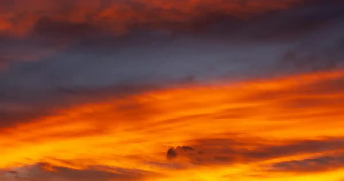 Instagram Pro ile Mobil Canlı TV İzleme Deneyiminde Yeni Dönem Başlıyor