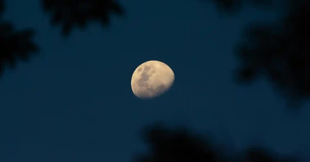 iPhone 11 Ölçüleri ve Tasarımının Kullanıcı Deneyimine Etkisi: Detaylı İnceleme