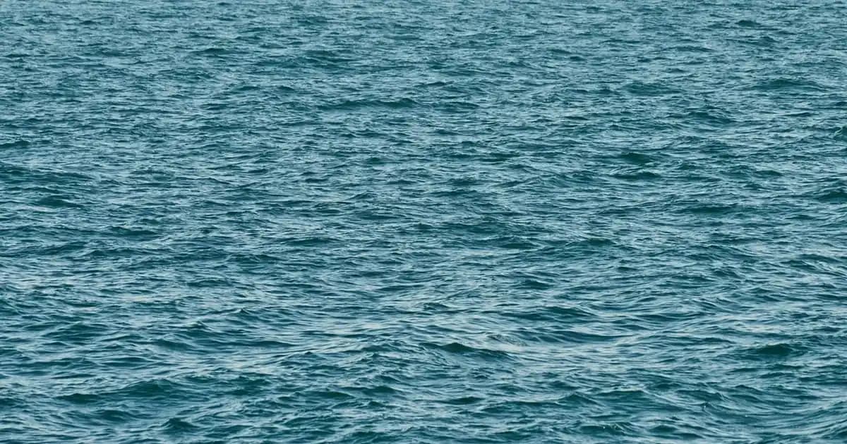 iPhone 11 Şarjı %80'de Kalıyor: Nedenleri ve Etkili Çözüm Yolları