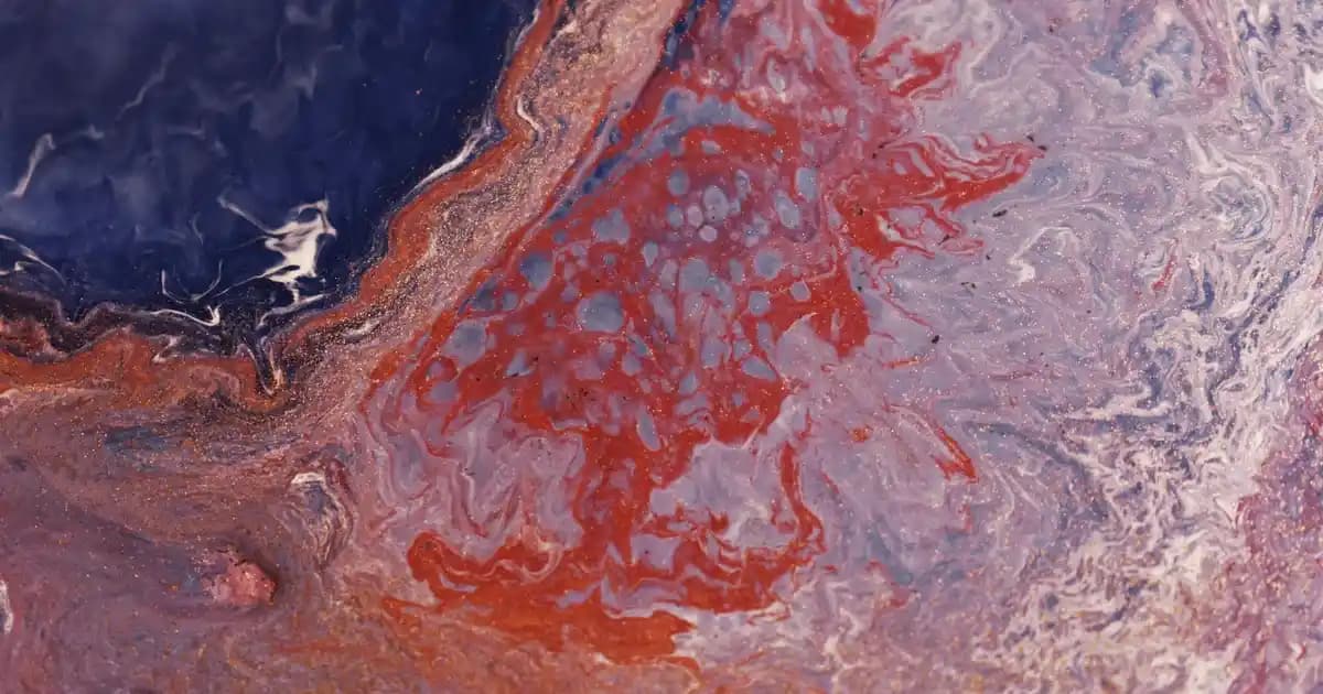 iPhone 14 Plus ve iPhone 16 Plus Karşılaştırması: Teknik Özellikler ve Performans Analizi