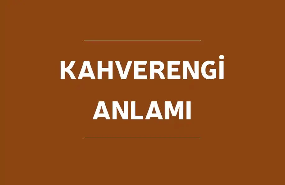 Kahverengi Rengin Anlamı ve Teknoloji Dünyasındaki Estetik Yansımaları