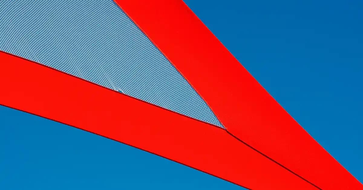 Kedi Tüyünü En İyi Temizleyen Süpürgeler ve Evcil Hayvanlar İçin Temizlik Rehberi