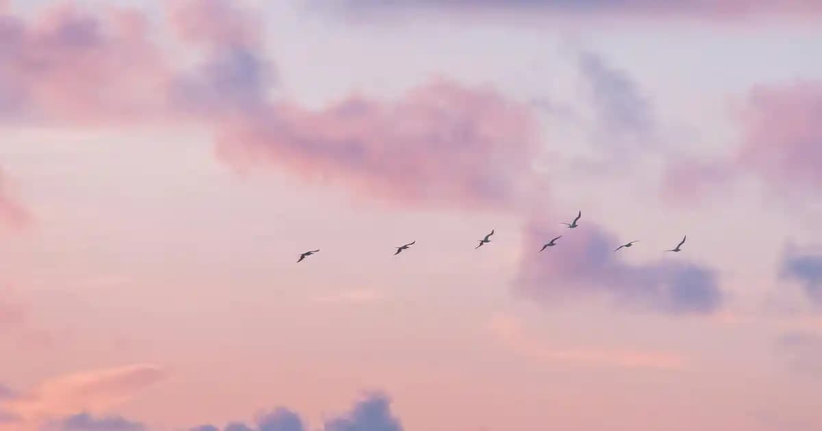 Kişi Saklama Uygulamaları: İletişim Bilgilerini Düzenli ve Güvenli Yönetme Yöntemleri