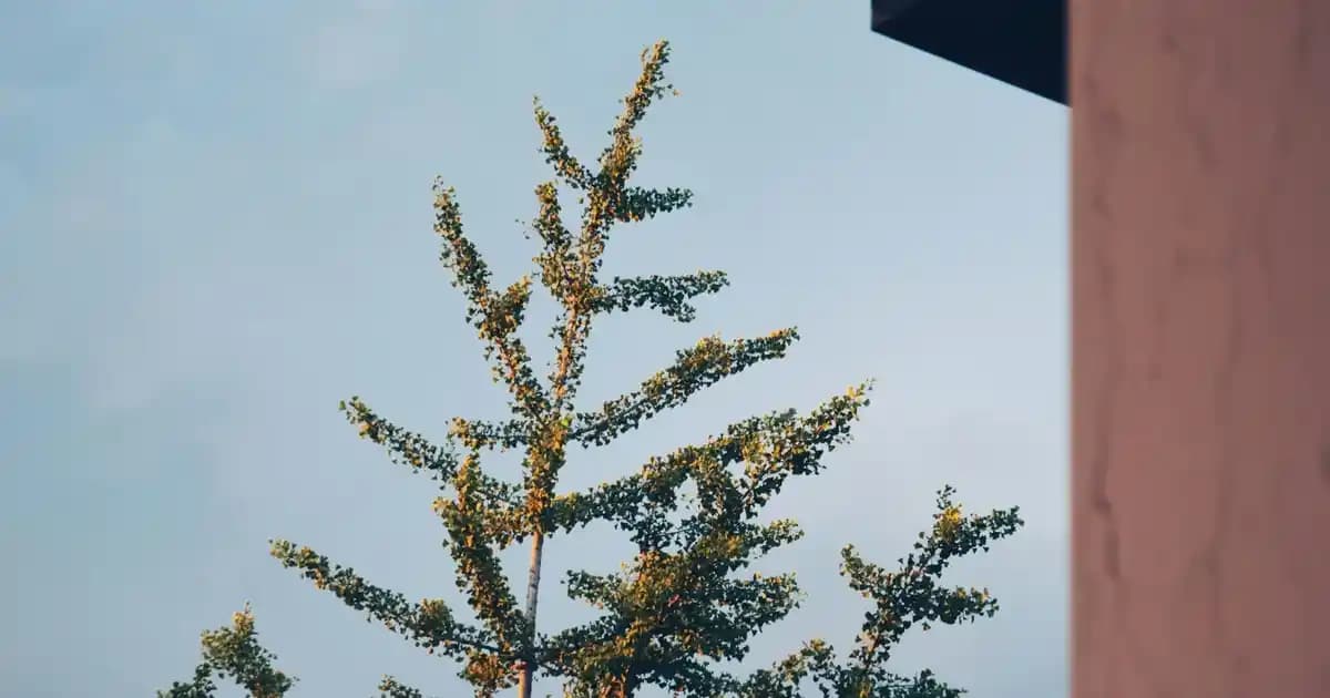 Klavye Sembol Kodları: Dijital İletişimde Özel Karakterlerin Pratik Kullanımı