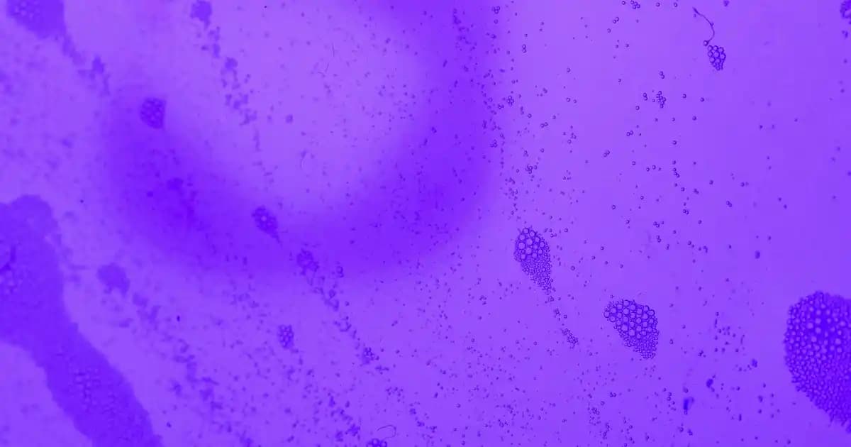 Kulaklıkların Türkiye'deki KDV Oranı ve Elektronik Aksesuar Vergilendirme Detayları