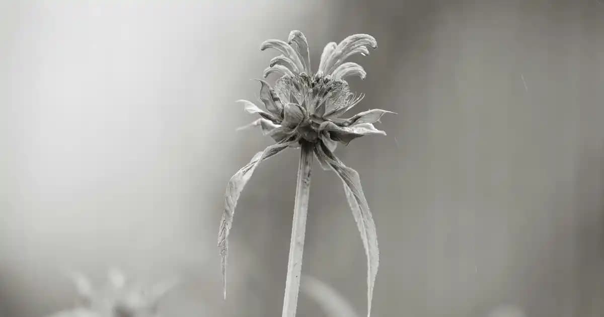 LG Smart TV Kanal Ayarlama Rehberi: Otomatik ve Manuel Ayarlarla Adım Adım Çözümler