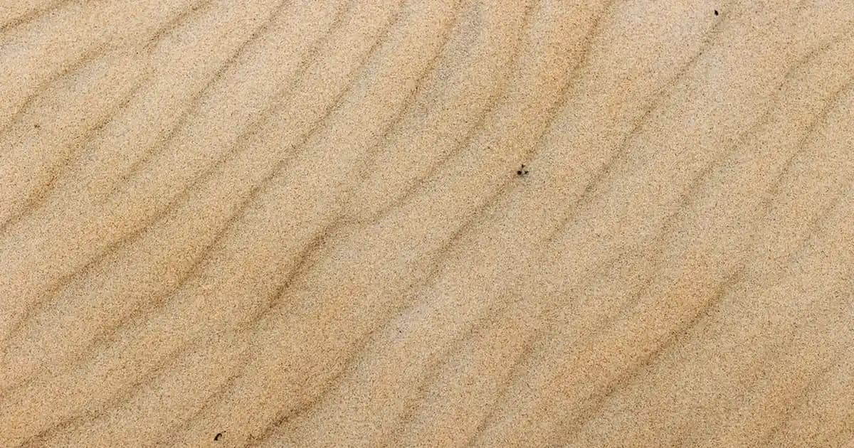 LG TV'de Manuel Kanal Ekleme Özelliğinin Aktif Olmama Nedenleri ve Çözüm Yolları