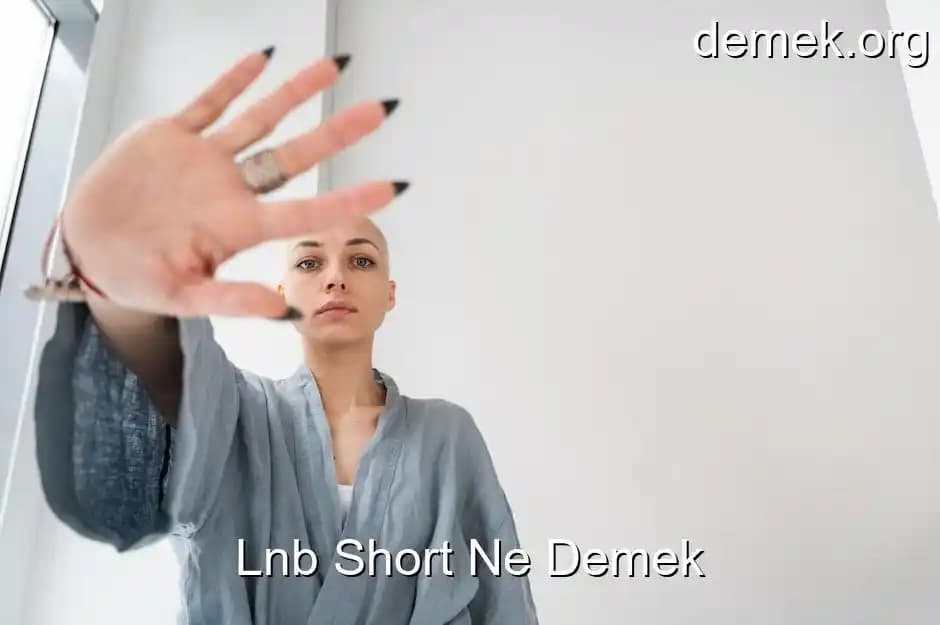 LNB Short Nedir? Uydu Teknolojisinde Kompakt ve Yüksek Performanslı Bileşen