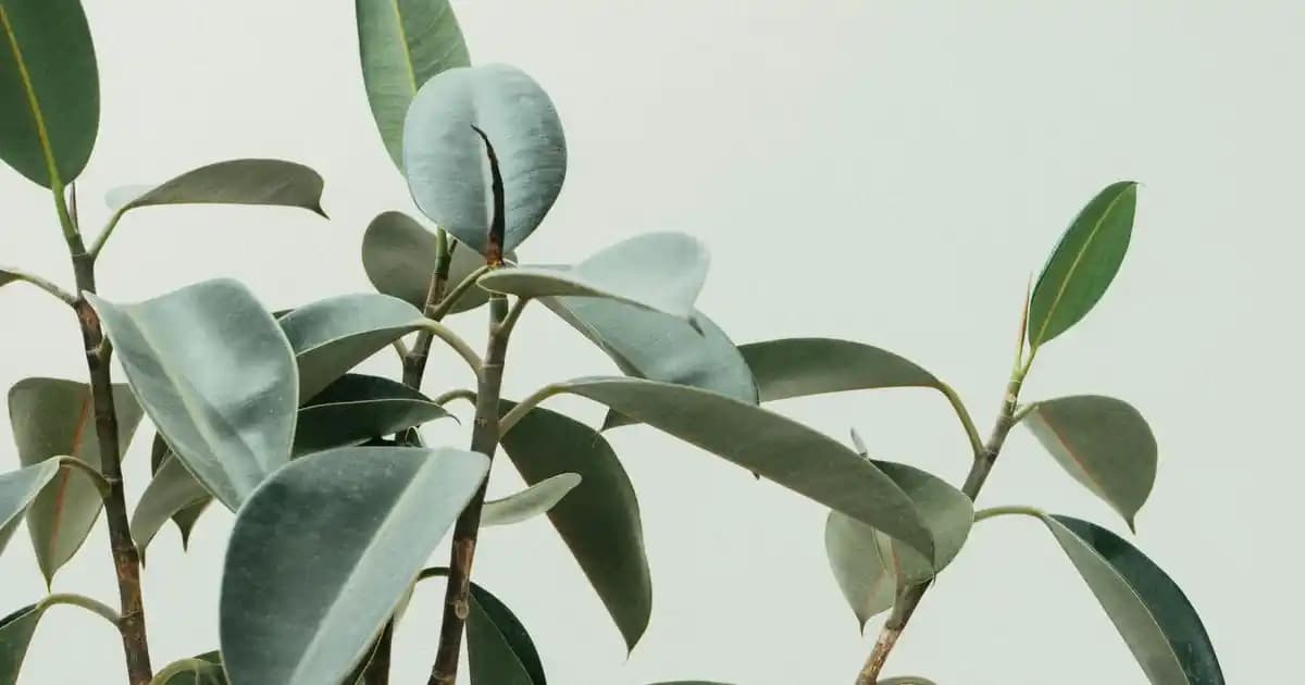 Logitech F310 Kablolu Gamepad: PC Oyuncuları İçin Ergonomik ve Dayanıklı Seçenek