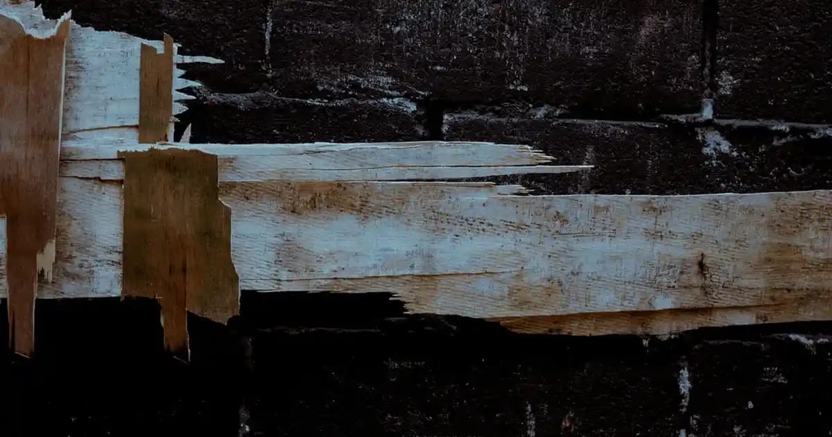 Logitech MK270 ve MK295 Kablosuz Klavye Setleri: Özellikler ve Kullanıcı Tercihleri