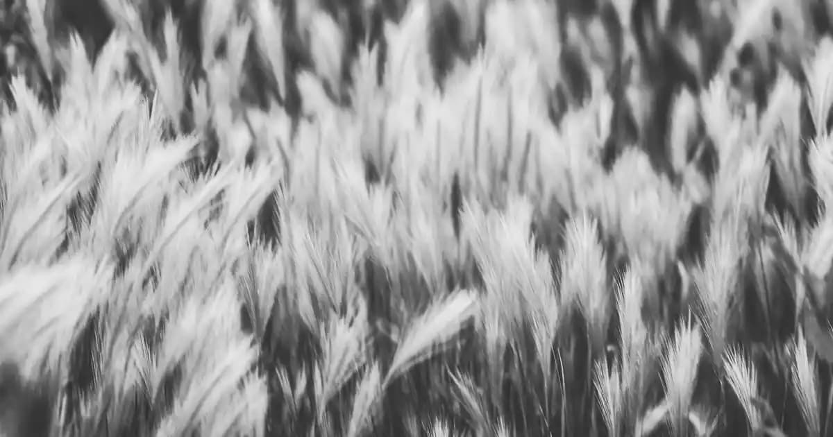 Logitech MK345 ve MK295 Kablosuz Klavye-Fare Setleri: Özellik ve Performans Karşılaştırması