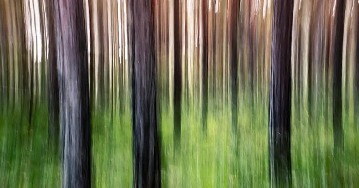 Loyiso MacDonald: Güney Afrika'nın Yükselen Oyuncu Yıldızının Kariyer ve Hayat Hikayesi