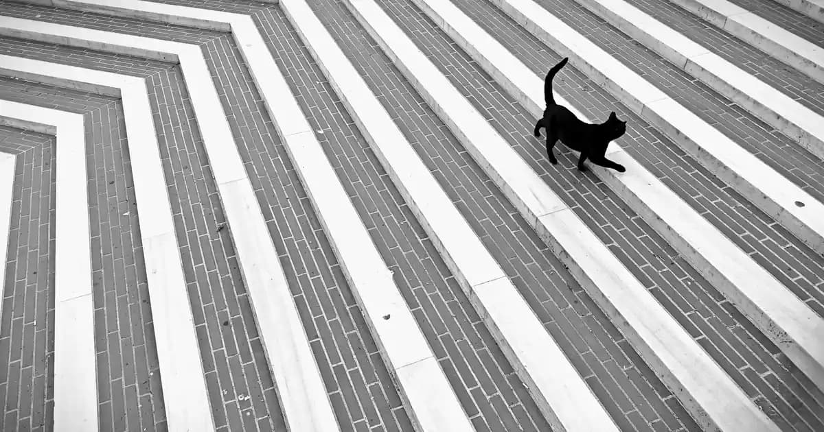 Masaüstü Ekran Küçültme Yöntemleri ve Verimlilik İçin Pratik İpuçları