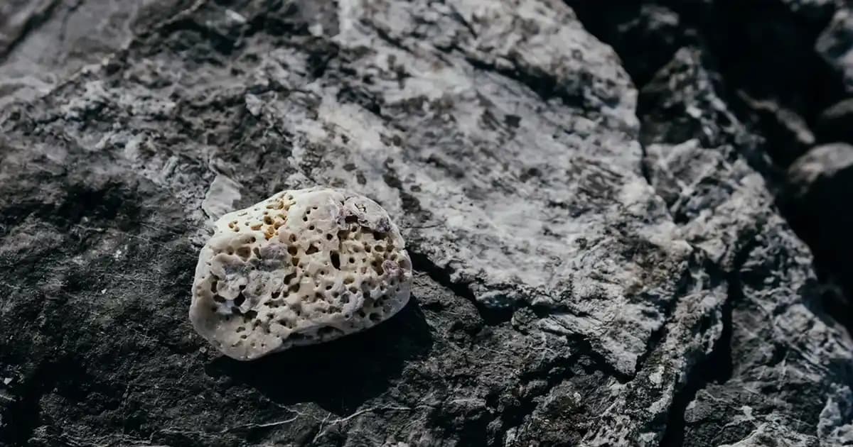 Mat Ekran Koruyucu Nedir ve Akıllı Cihazlarda Sağladığı Avantajlar