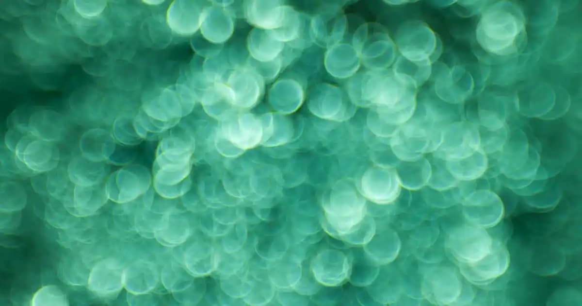 Mecool KM2 Plus Deluxe ve Homatics Box R 4K Plus: Akıllı Medya Kutusu Karşılaştırması