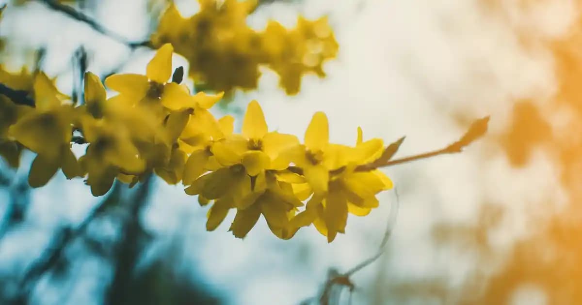 Metrekare Sembolü (m²) ve Dijital Dünyada Doğru Kullanımı Hakkında Bilgiler