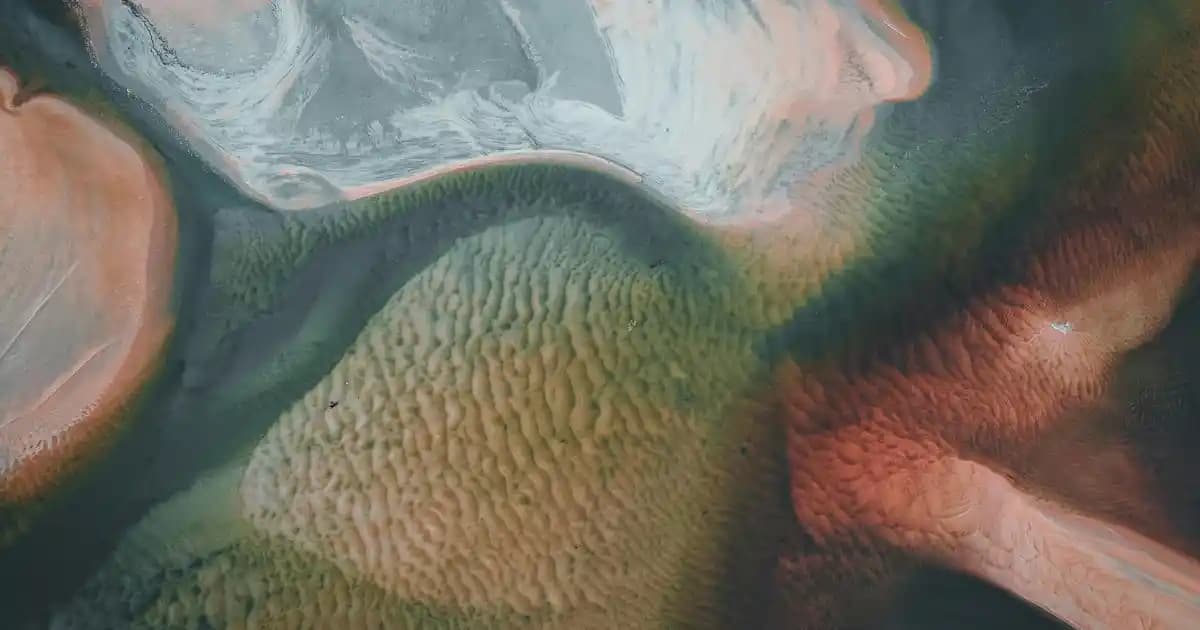 Migros Sanal Market İletişim Kanalları ve Teknoloji Destekli Müşteri Hizmetleri