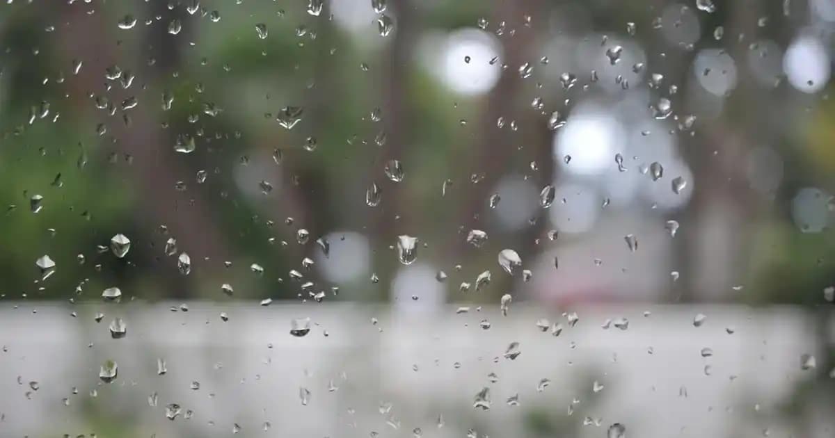 Mini Mikrodalga Fırınlar: Kompakt Tasarım ve Enerji Tasarrufu ile Pratik Çözümler