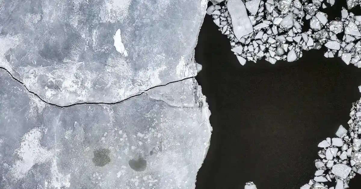 Mouse Çalışmıyor Sorunları ve Çözüm Yolları: Donanım, Yazılım ve Bağlantı Problemleri