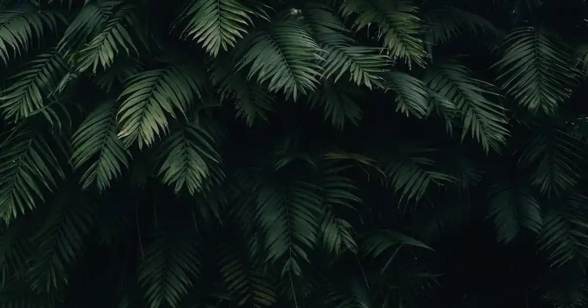 MSI Klavye Işık Açma ve Kişiselleştirme: Adım Adım Kılavuz ve İpuçları