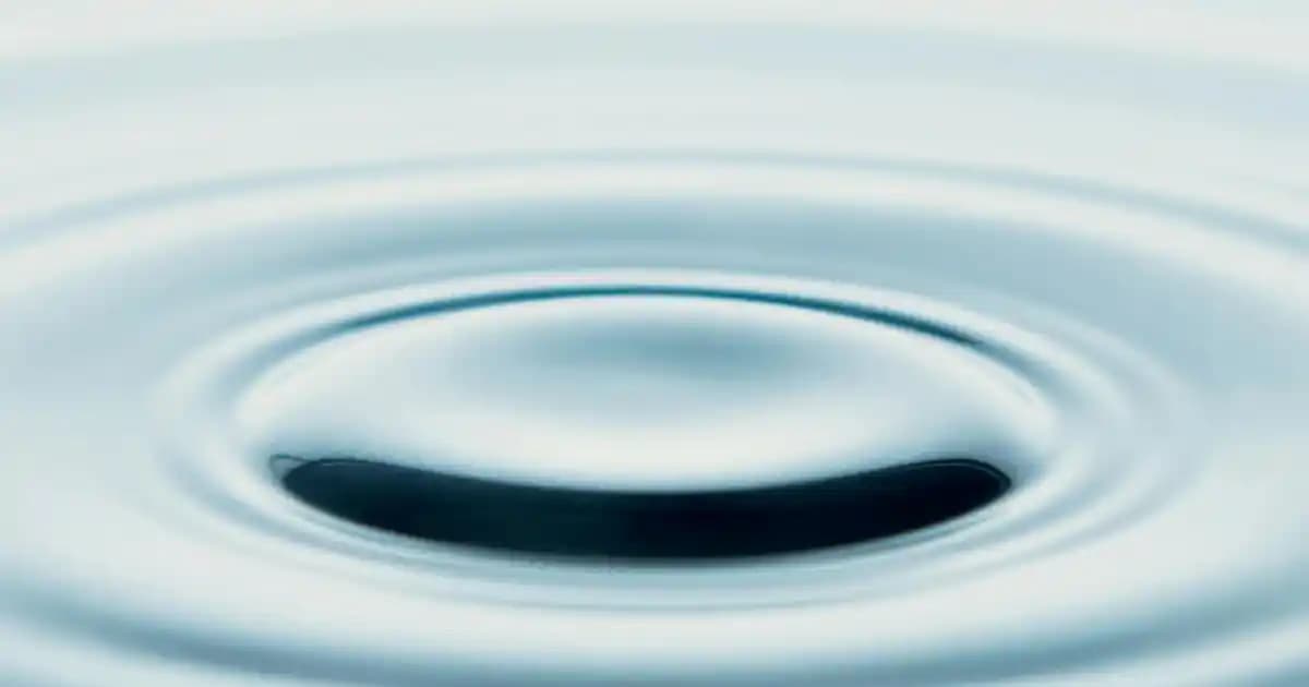 Noktanın Doğru Kullanımı ve Yazım Kuralları: Teknoloji ve Türkçe İletişimde Önemi