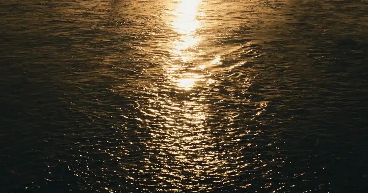 Note 11 Pro Özellikleri: Orta Segmentte Yüksek Performans ve Şık Tasarım