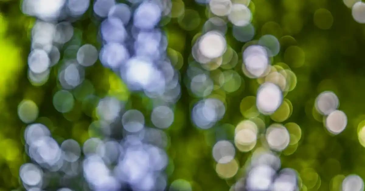 Note 13 Pro Kablosuz Şarj Özelliği ve Kullanıcı Rehberi: Detaylı İnceleme