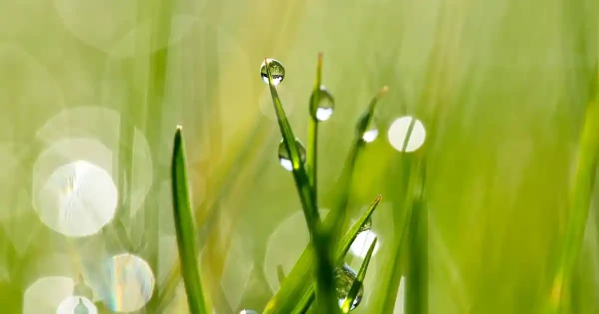 Note 4 Pili Electronics: Yüksek Kapasiteli ve Dayanıklı Akıllı Telefon Pili Teknolojisi