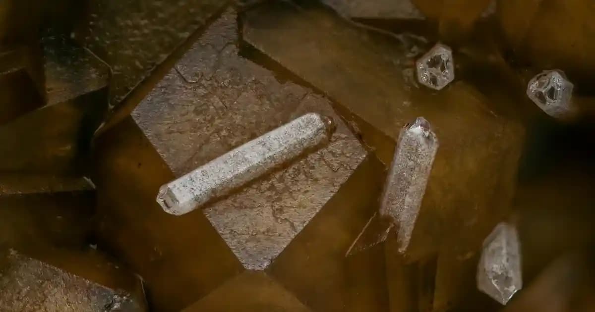 Onvo Yetkili Servisi: Akıllı Cihazlarınız İçin Profesyonel ve Güvenilir Destek Hizmeti