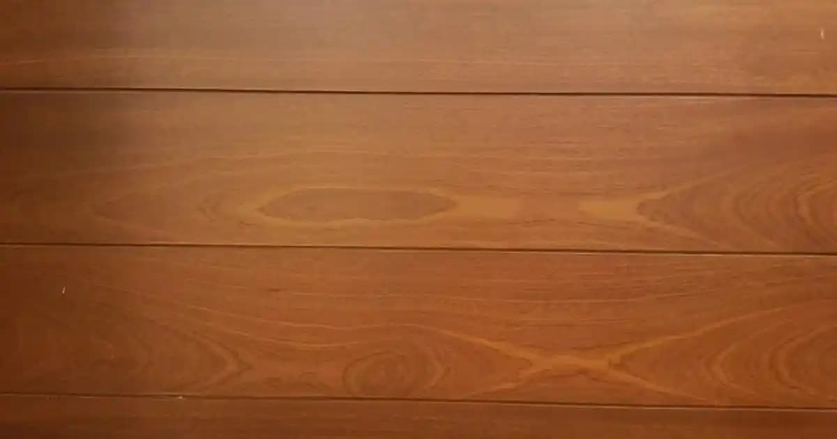 OPPO A5 Özellikleri: Uygun Fiyatlı, Güçlü Performans ve Geniş Ekranlı Akıllı Telefon