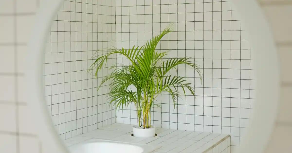 Orta Segment Telefonlar: Performans ve Fiyat Dengesiyle Akıllı Seçim Rehberi