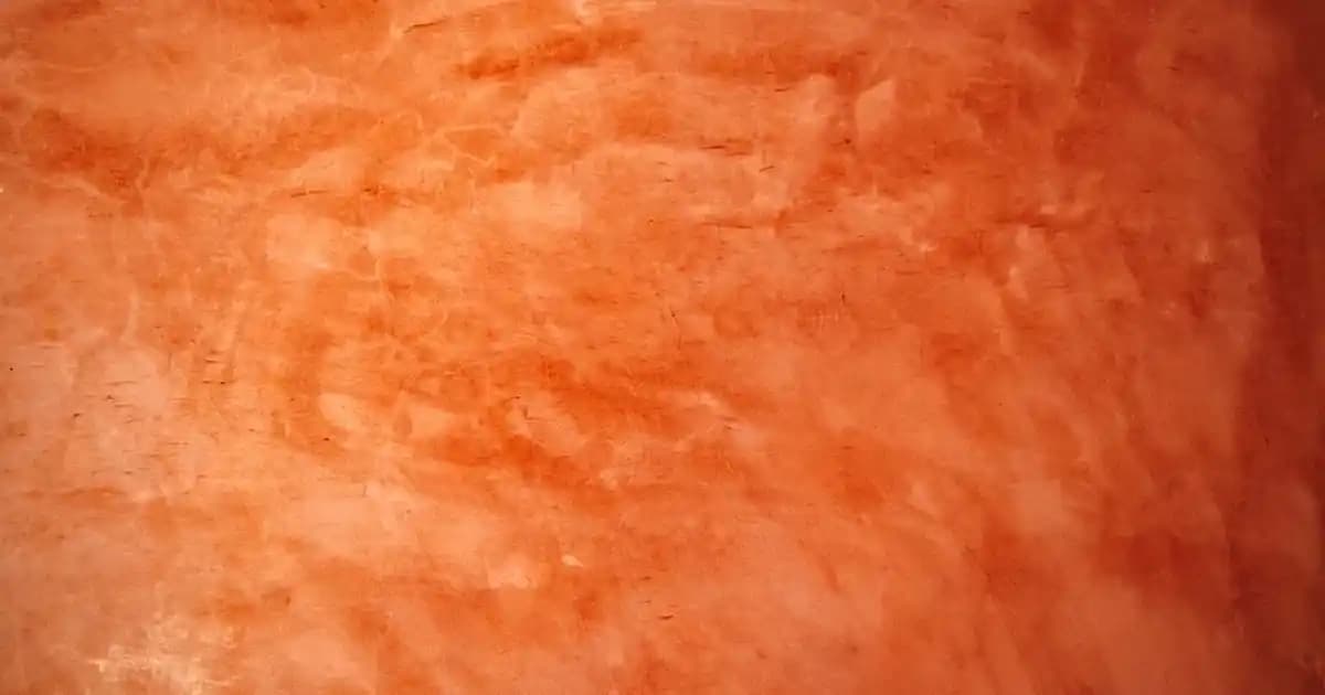 Paralı Kanallar ve Teknoloji: Dijital Medya Deneyiminde Yeni Dönem Başlıyor