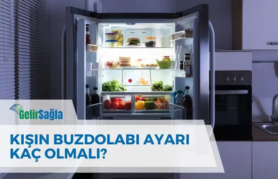 Profilo XXL Buzdolabı Kış Ayarı Kaç Olmalı? Enerji ve Performans Rehberi