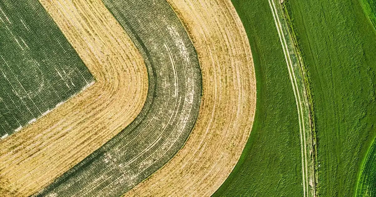 Redmi 11 Pro Özellikleri ve Performansı: Orta Segmentte Güçlü ve Şık Akıllı Telefon